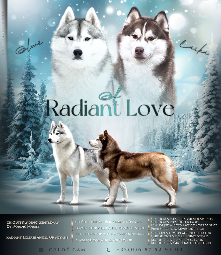 Of Radiant Love - Bonne nouvelle !!